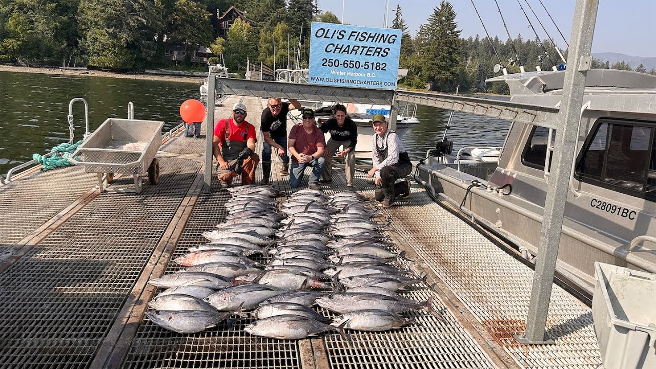 Insane Winter Harbour Albacore Tuna (Vancouver Is., BC)