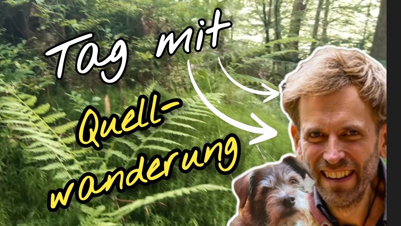 Ein Tag im Aussteigerleben: Waldwandern zur Quelle, Hausreparaturen, Kochen