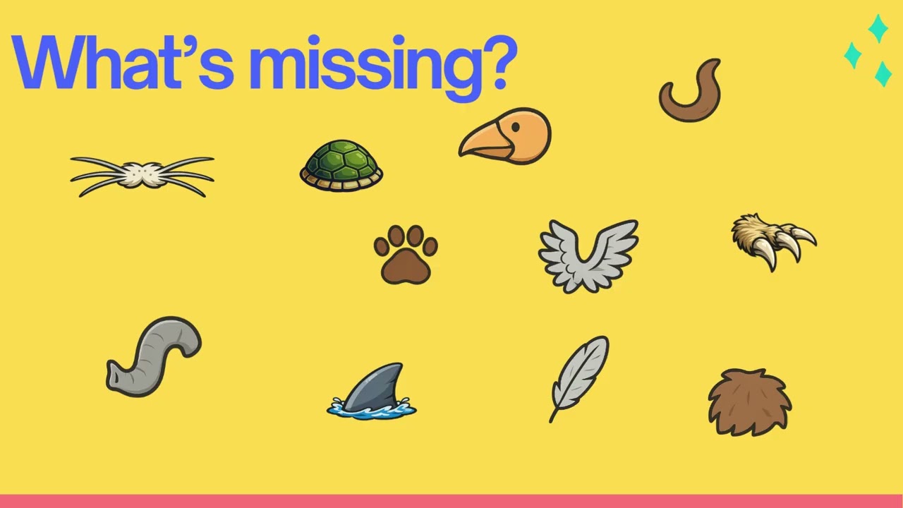 The Pet House - What's missing - animal body parts