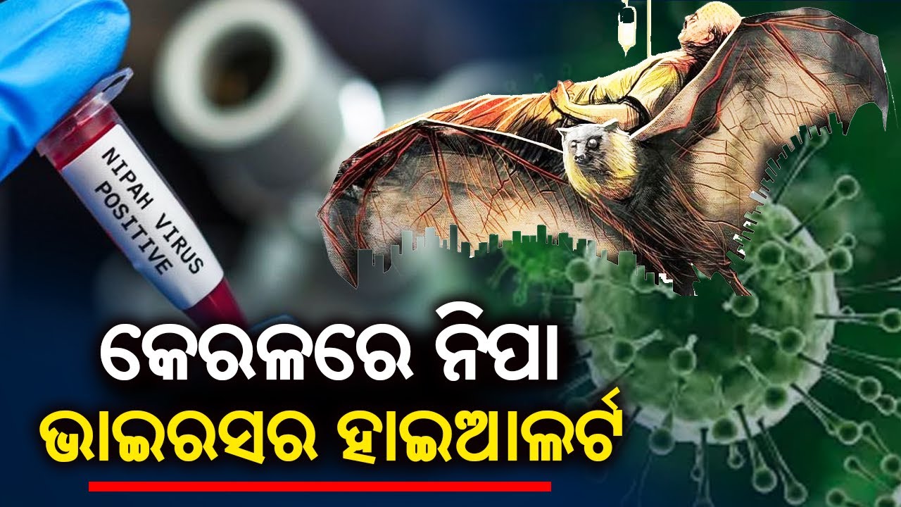 Two dead in Kerala's Kozhikode due to Nipah virus, containment zone announced in state || KalingaTV