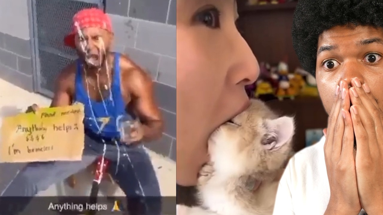 Смотрю ваши нелепые TikTok