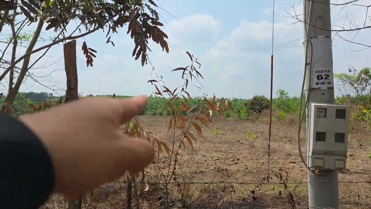 2ha đất, 2 mặt tiền LỘC KHÁNH - LỘC NINH - BÌNH PHƯỚC ( CŨ)
