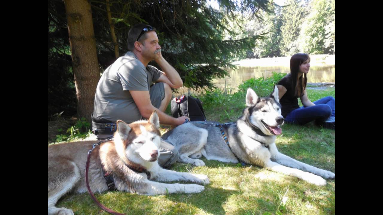 Forumtreffen 2016   Crottendorf   Schwarzer Teich