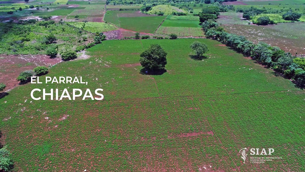 El Parral, Chiapas
