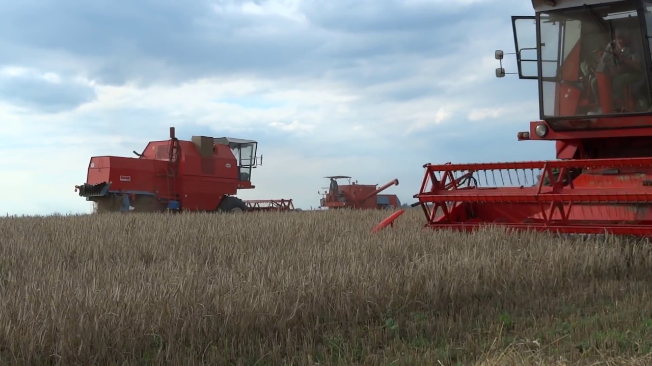 4x Bizon na jednym Polu , ZTS , Valtra & Engine Sounds #1