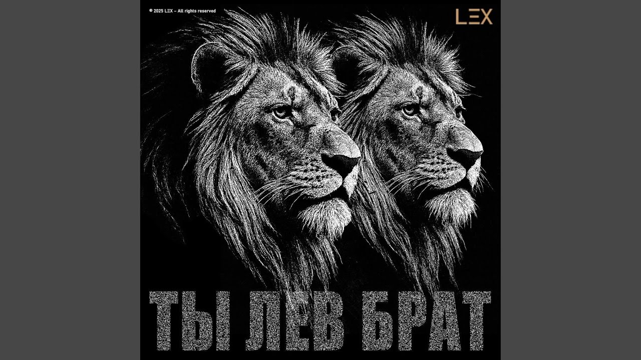 Ты что за лев брат (Vibe Version)