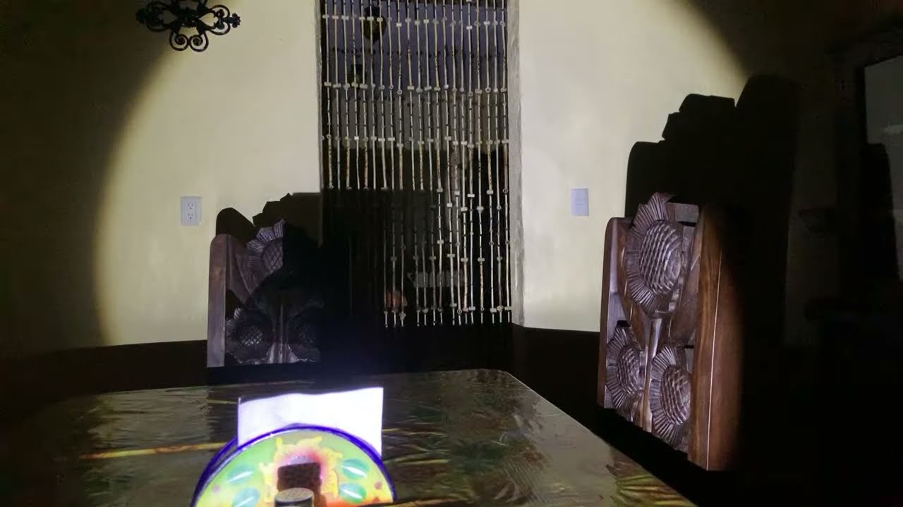 LA CASA QUE NO QUIERE SER HABITADA /ELLA ESTABA AHÍ