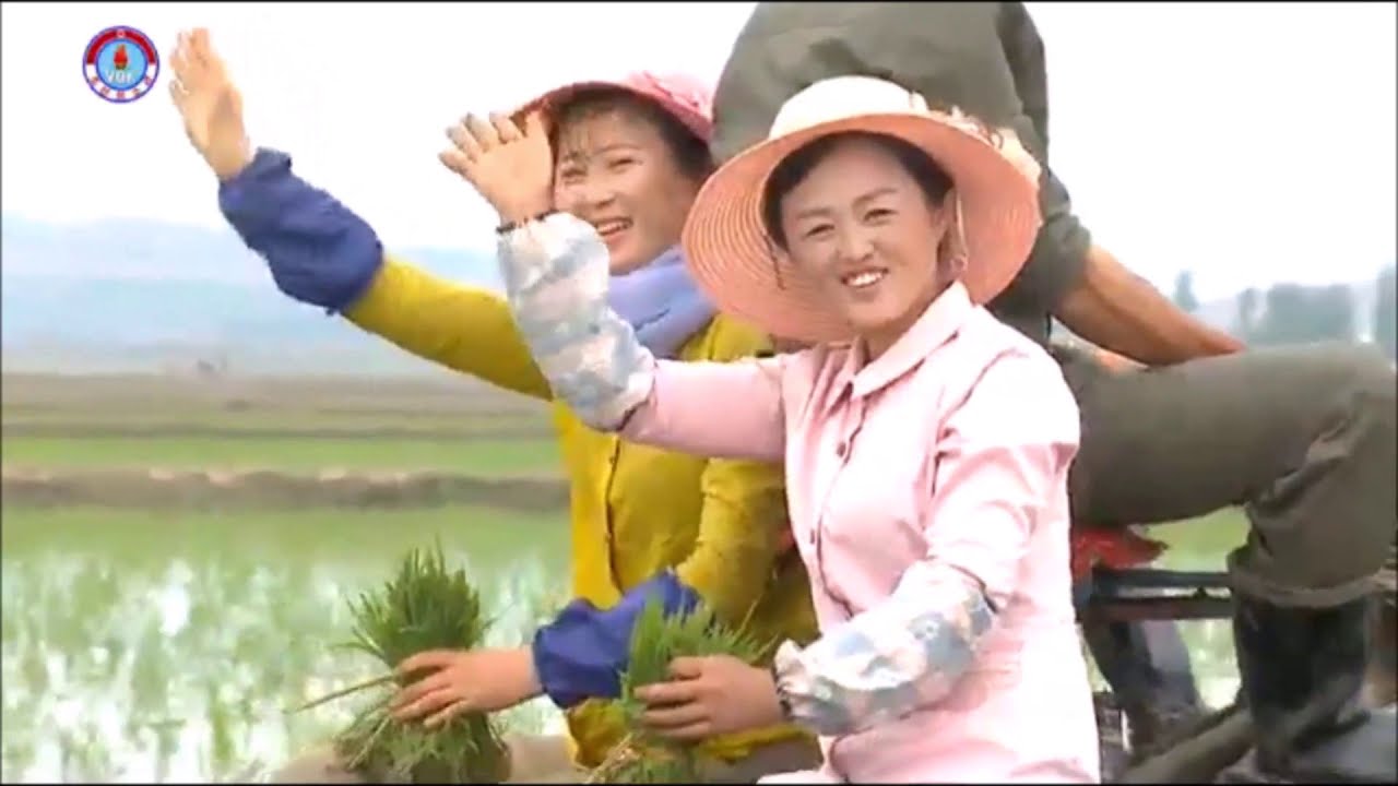 Women Are Flowers & Song of My Wife [DPRK Songs | English Subtitles]