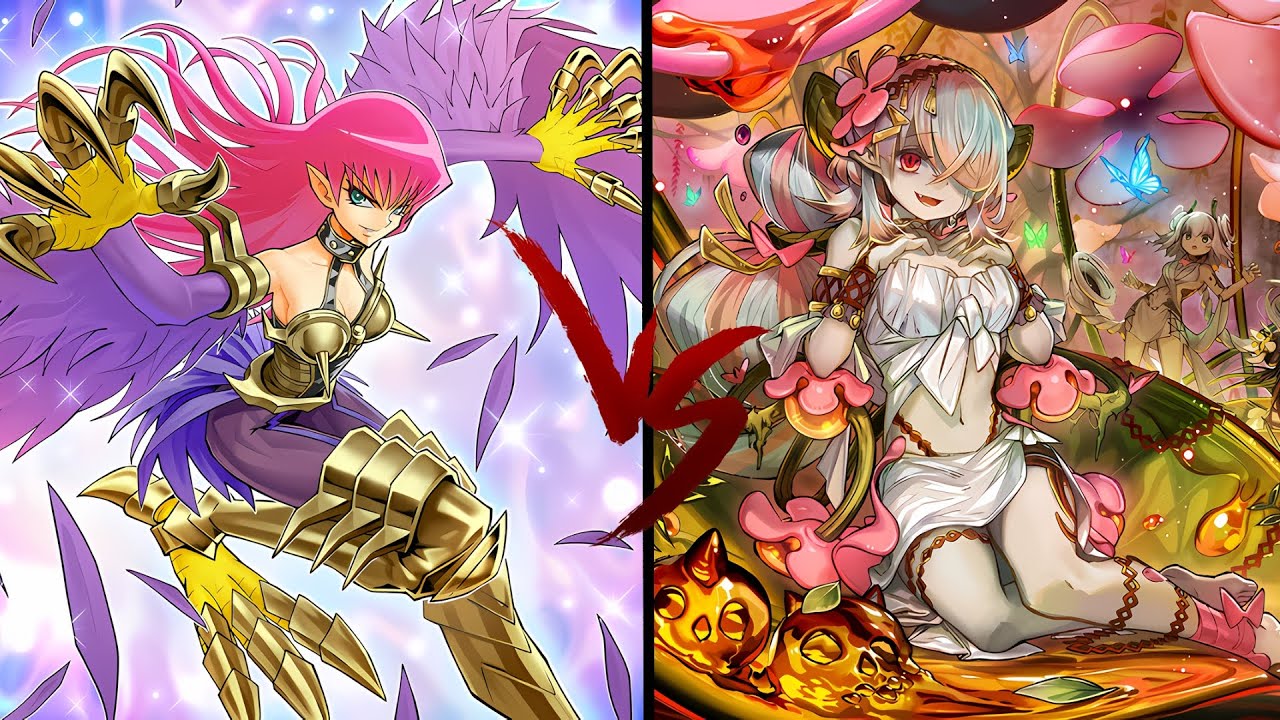 Yu-Gi-Oh Master Duel Melffy VS Traptrix
