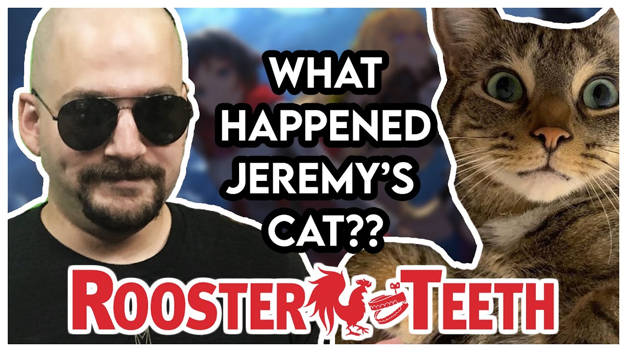 What happened to Jeremy Dooley's missing cat? | Achievement Hunter