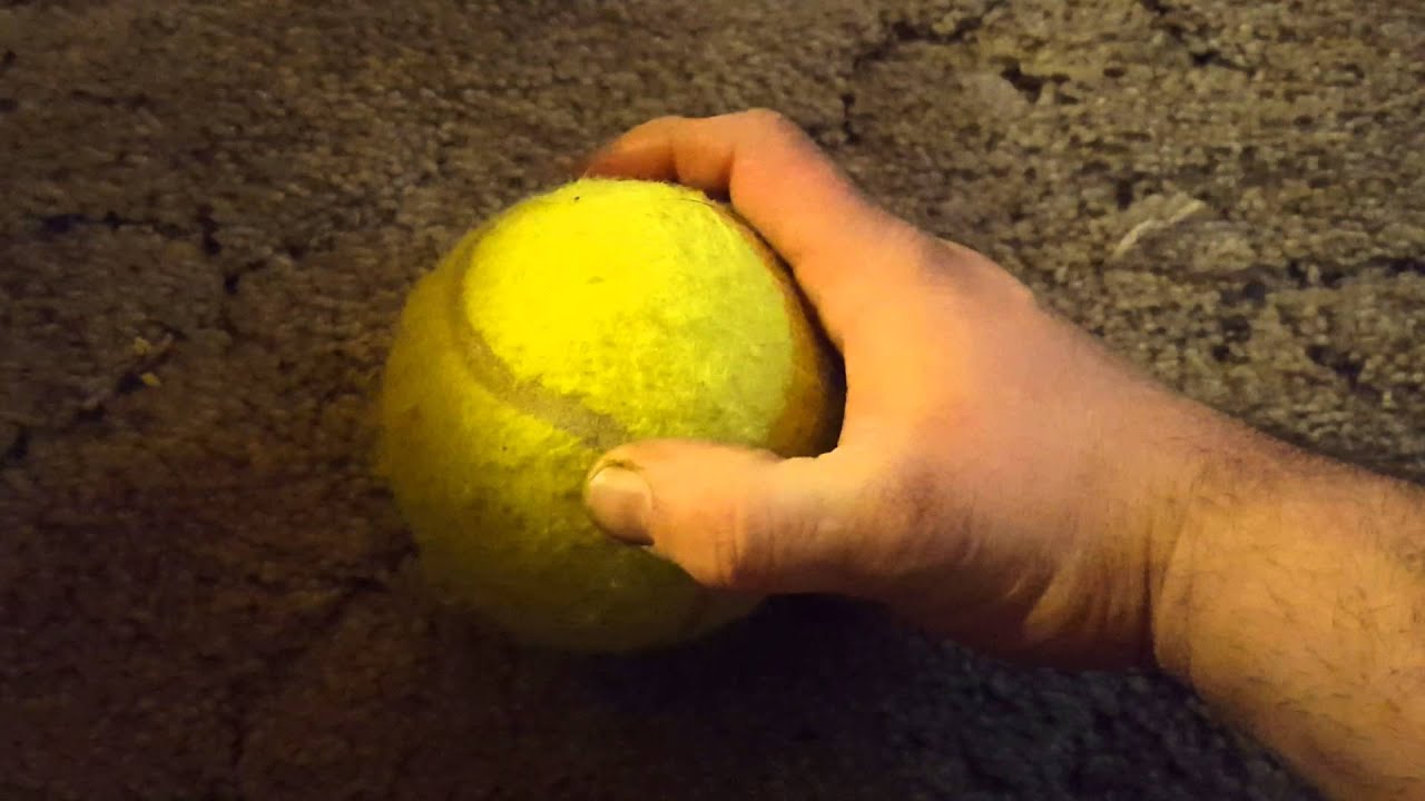 Squeaky Dog Toy Teaser