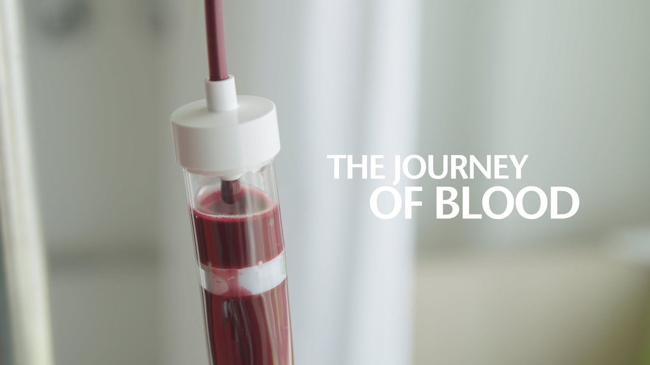 The journey of blood