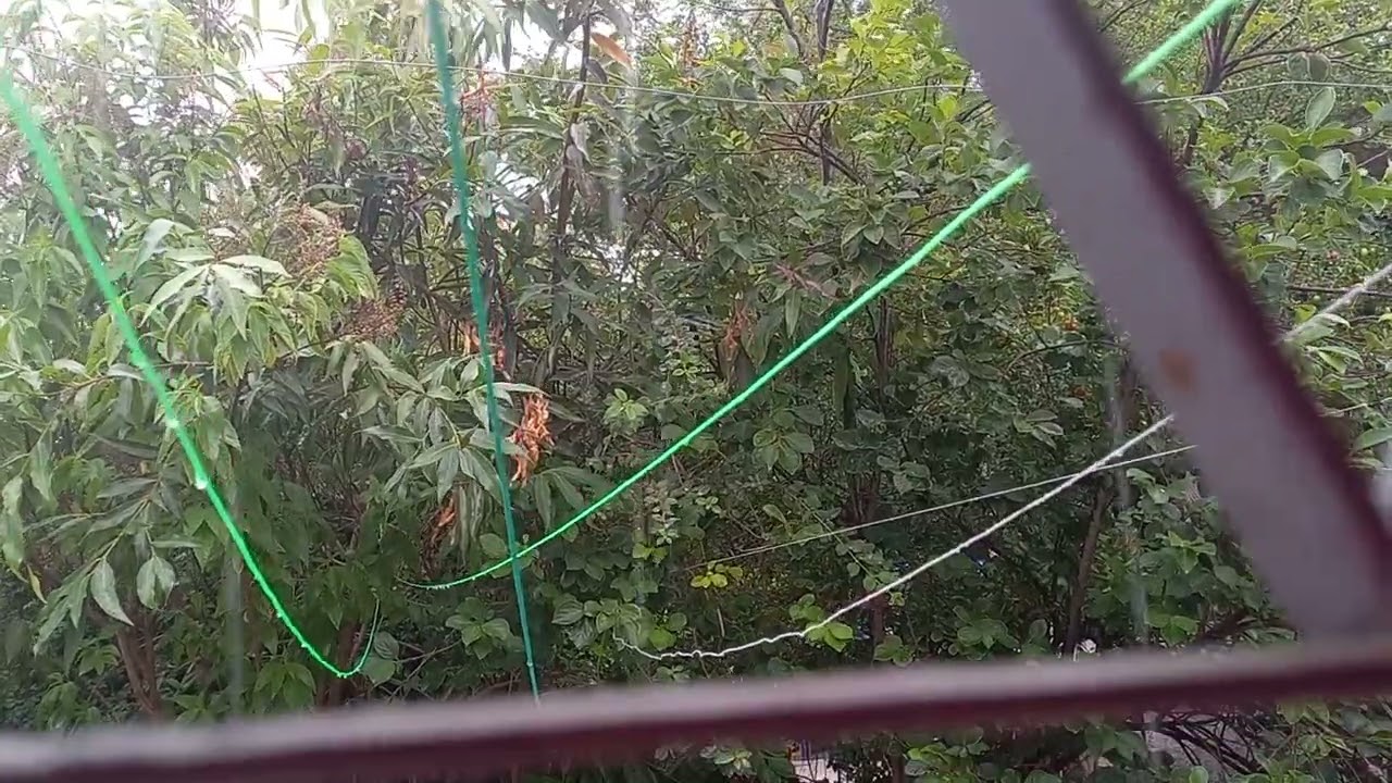 🌹chuva cai na cidade de Anápolis Goiás. 