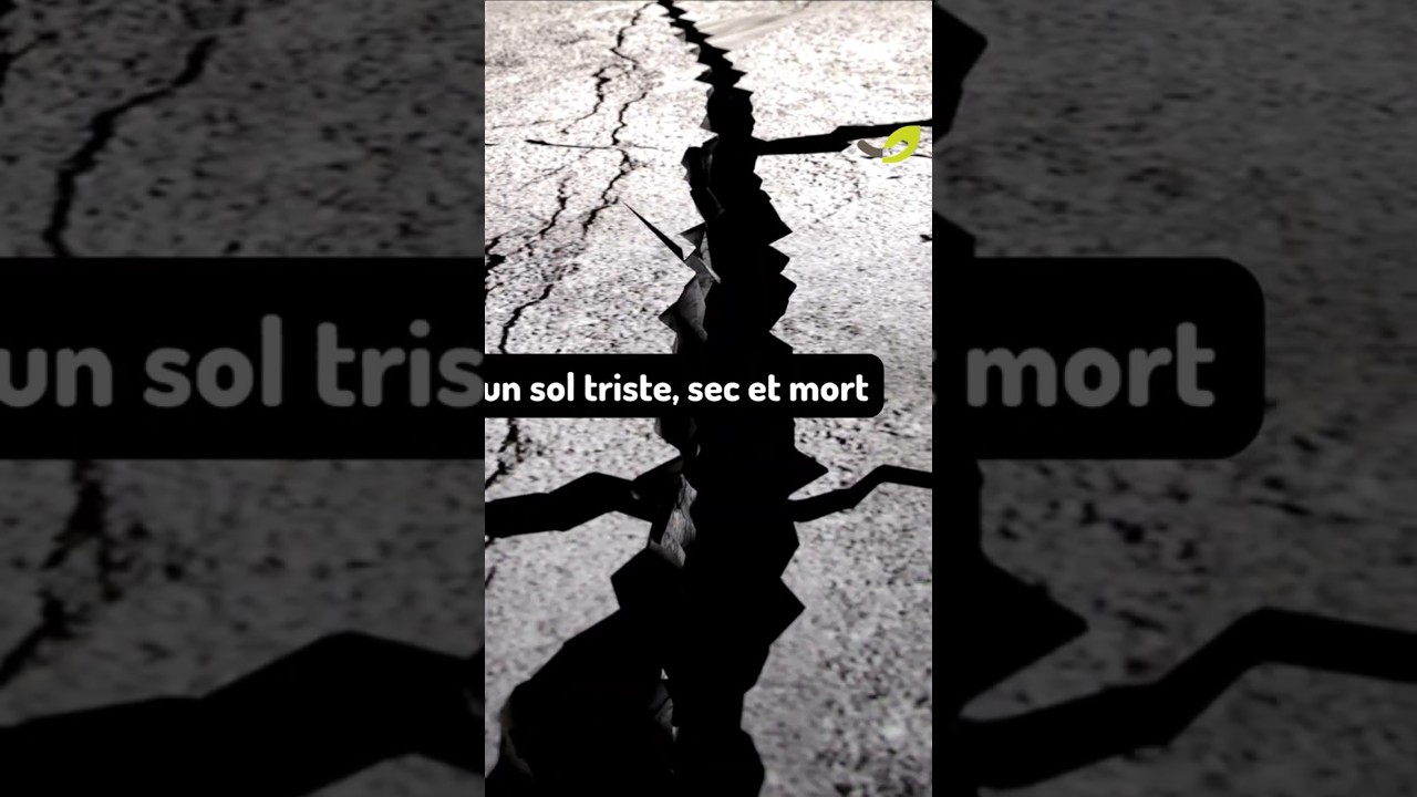 🌍 Tu arroses&hellip; mais la terre reste s&egrave;che ?Et si le vrai probl&egrave;me n&rsquo;&eacute;tait pas l&rsquo;eau ?