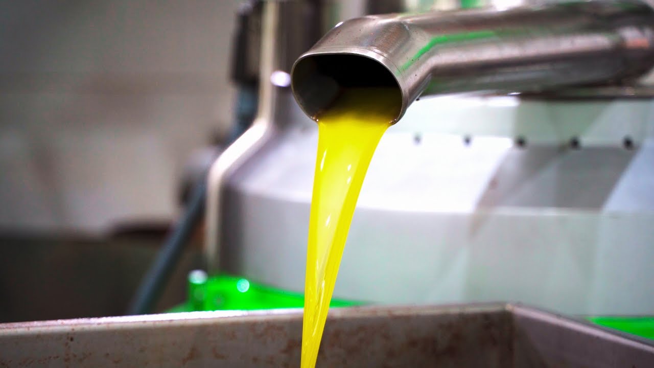 How It's Made: Olive Oil