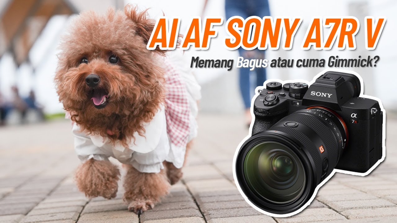 Sony A7R V - Autofokus makin PINTAR dengan Teknologi AI