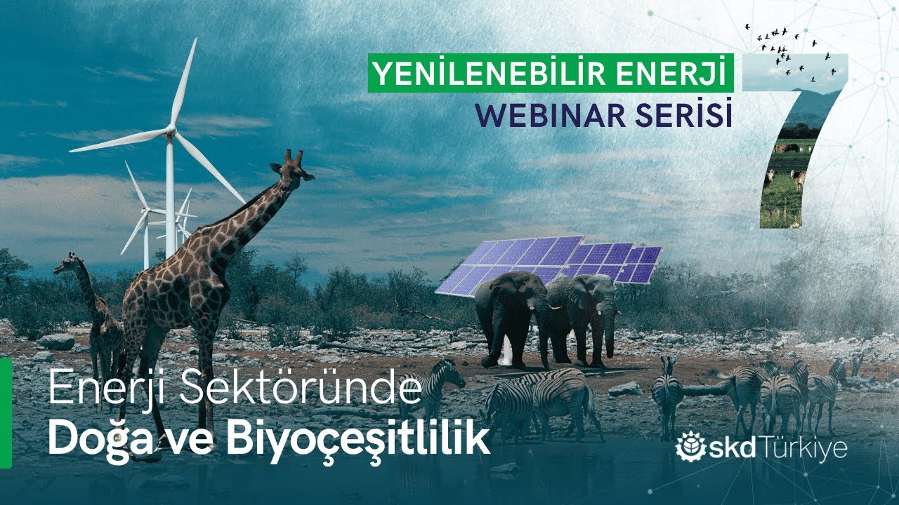 Enerji Sektöründe Doğa ve Biyoçeşitlilik Webinarı