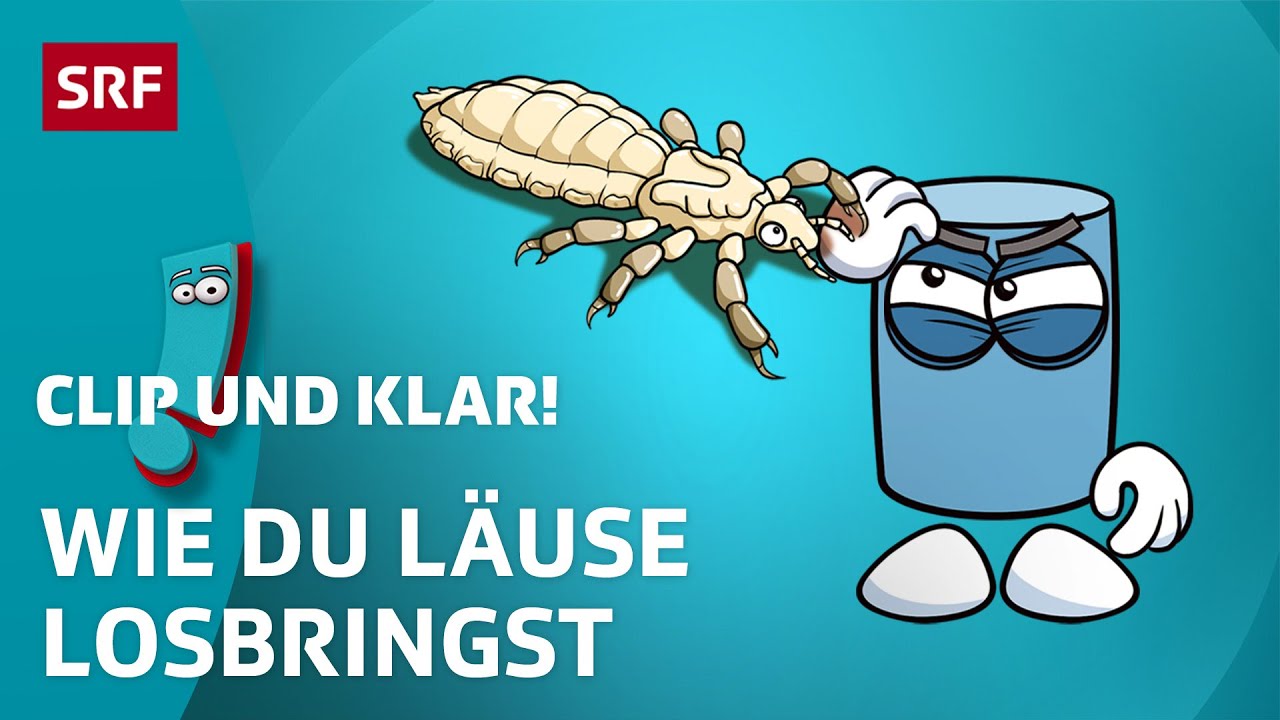 Was sind Kopfläuse & wie behandle ich sie? | SRF Kids – Clip und klar! | Für Kinder erklärt