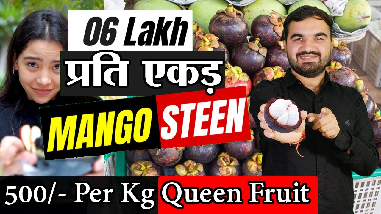 6 lakh per Acre | Mangosteen Farming | Queen Fruit Farming | Mangustaan farm |exotic Fruit Farming
