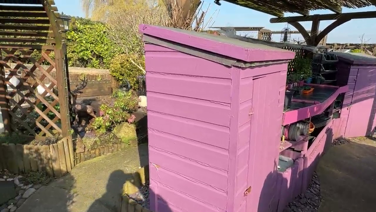 My Garden: March 2026