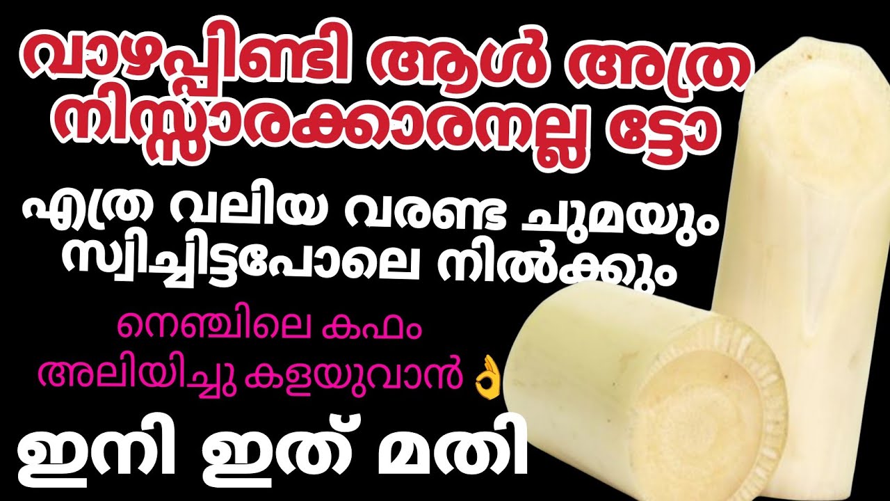 വാഴപ്പിണ്ടി ഉണ്ടോ എത്ര വലിയ വരണ്ട ചുമയും സ്വിച്ചിട്ട പോലെ നിൽക്കും | ഞെട്ടിക്കും ഉപയോഗങ്ങൾ | Tips 