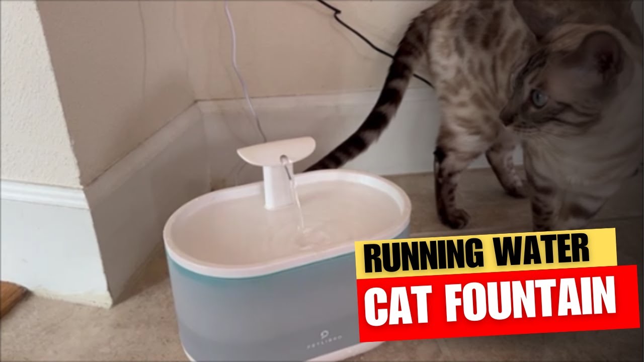 PETLIBRO Cat Water Fountain Review