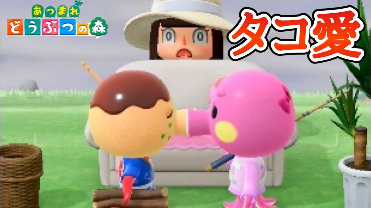 【あつ森】タコヤとタコリーナに密着！！タコンビ可愛すぎ！！！【あつまれどうぶつの森】