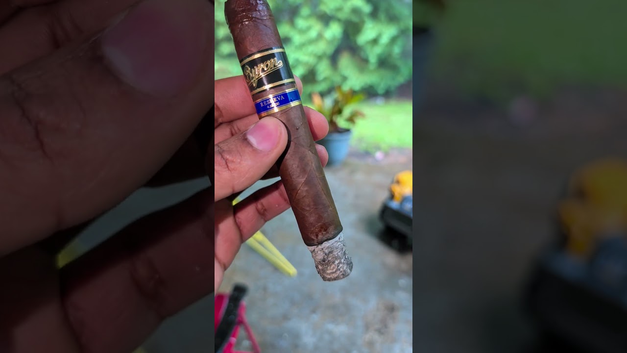 🌧️ ASMR Smoking a Cigar in the Rain Nature, Smoke, Peace #shorts #puros #cigars