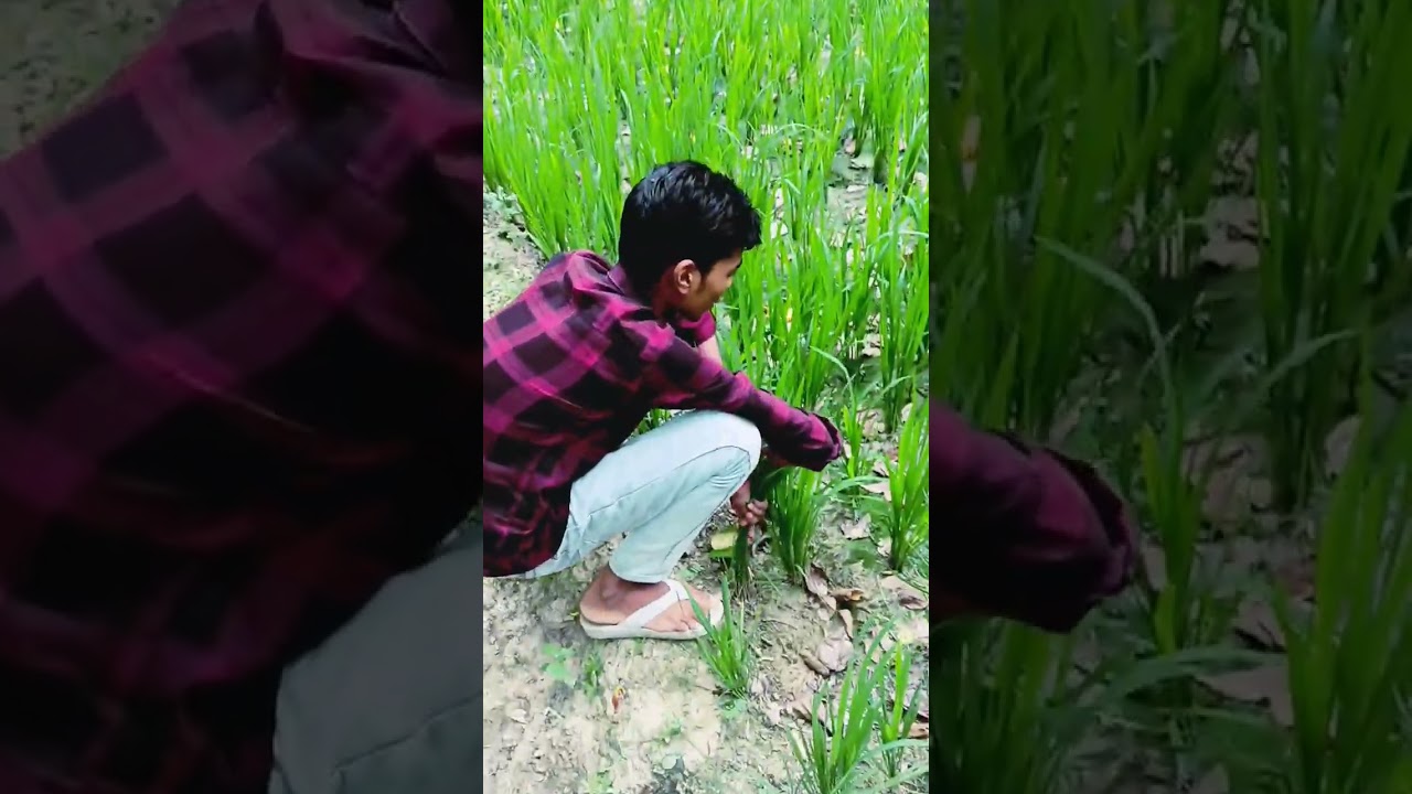 🚨 Embarrassing act caught on camera | You'll be shocked! Viral video #desi