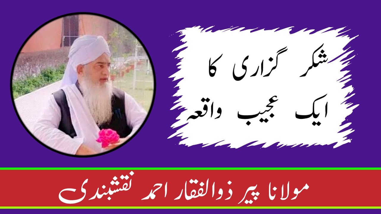 شکر گزاری کا ایک عجیب واقعہ | مولانا پیر ذوالفقار احمد نقشبندی