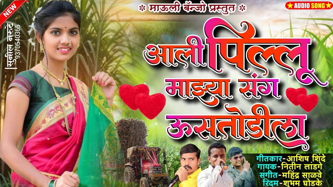 😍 आली पिल्लू माझ्या संग ऊसतोडीला ll Ali Pillu Mazya Sang Ustodi La 🥰 #ustodi_song  #kk #driver_song