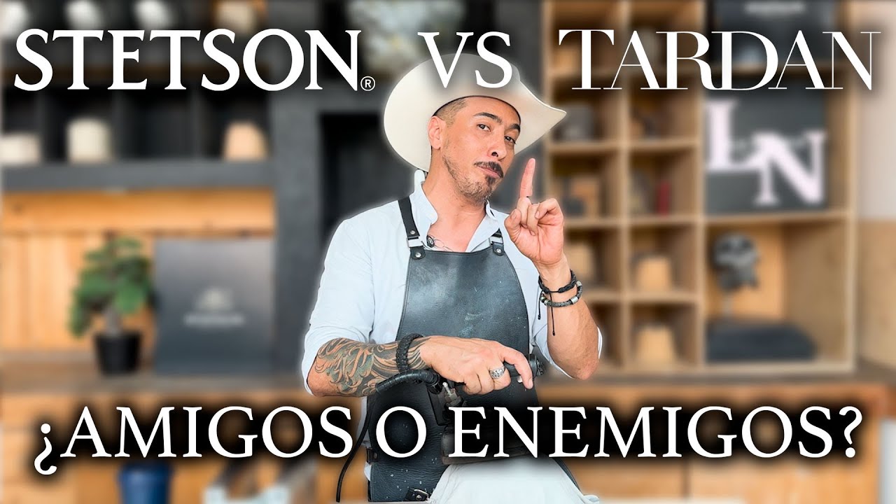 𝐒𝐭𝐞𝐭𝐬𝐨𝐧 𝐕𝐒 𝐓𝐚𝐫𝐝𝐚𝐧 ¿Amigos o enemigos?