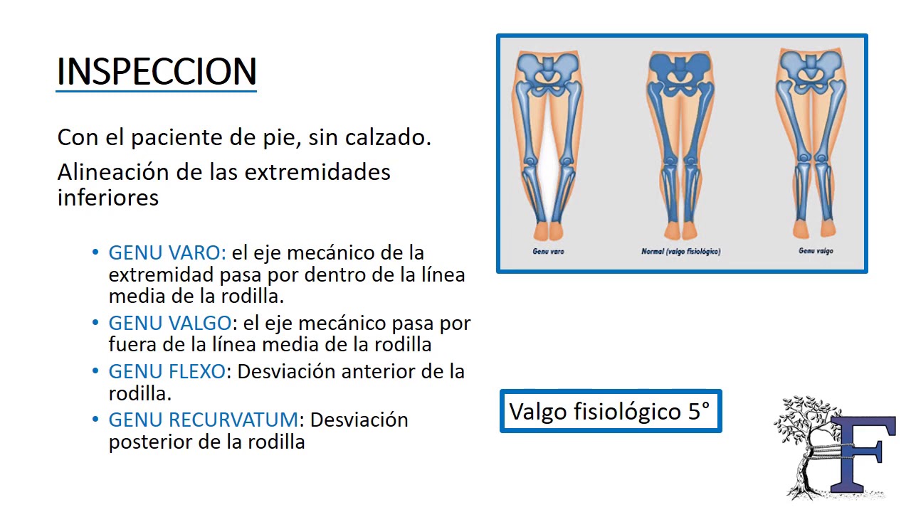 Semiología de la rodilla