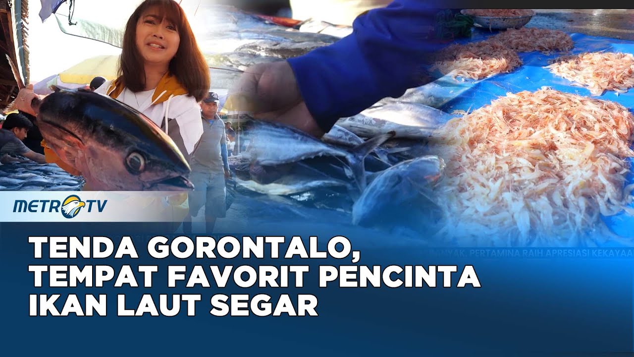 Tenda Gorontalo, Surga Ikan Laut Segar dengan Harga Bersahabat #journey