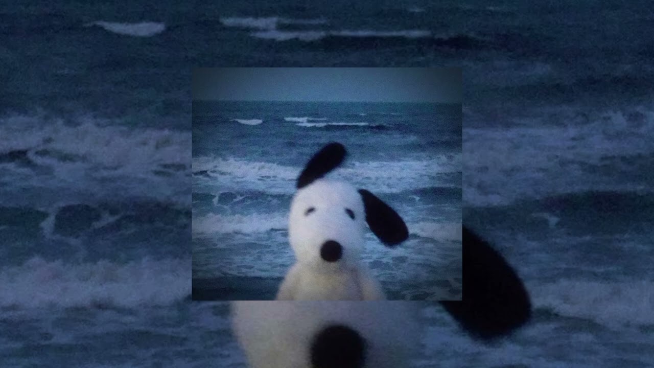 No Lie X Adventure Of a Lifetime (Tiktok Version)