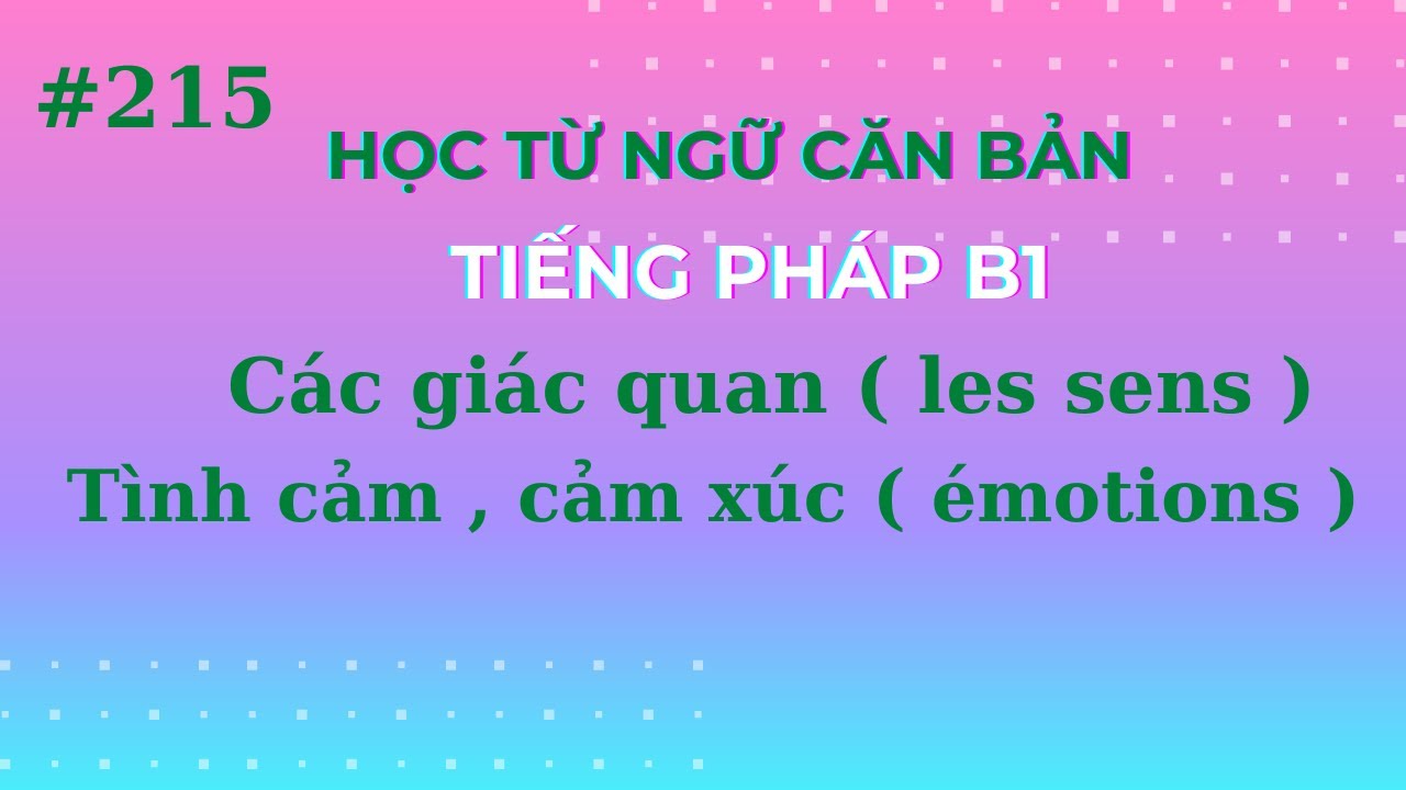 Bài 215 - Từ ngữ căn bản tiếng Pháp B1 - Các giác quan ( les sens ),tình cảm , cảm xúc ( émotions )