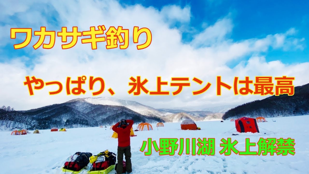 2022年　ついに氷上テントでワカサギ釣り決行　小野川湖　良いサイズが釣れました