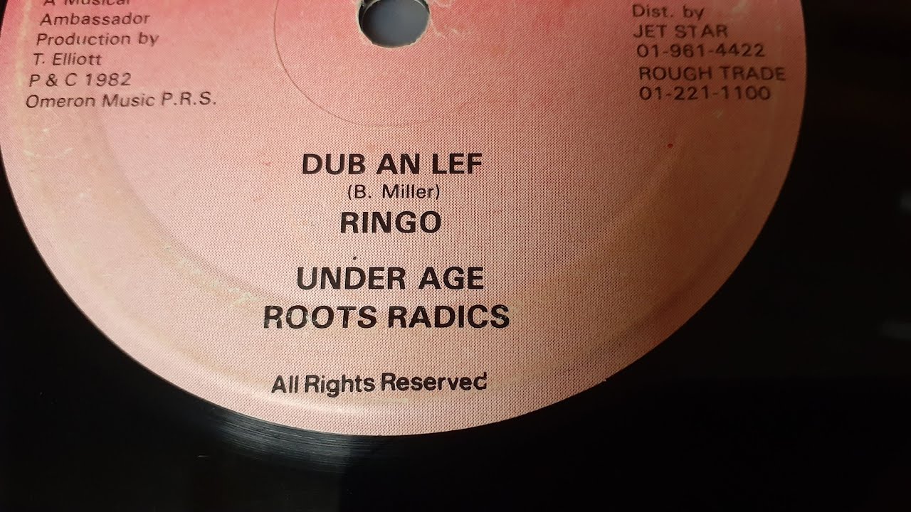 Reggae Dub mix - Roots Radics style! (Part 2)