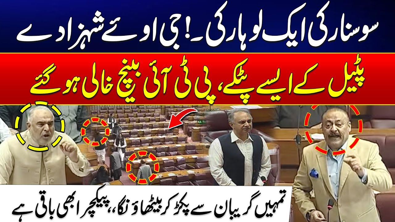 Constitutional Amendments - Qadir Patel Devastating Speech - Fiery Reply To PTI - New Chief Justice