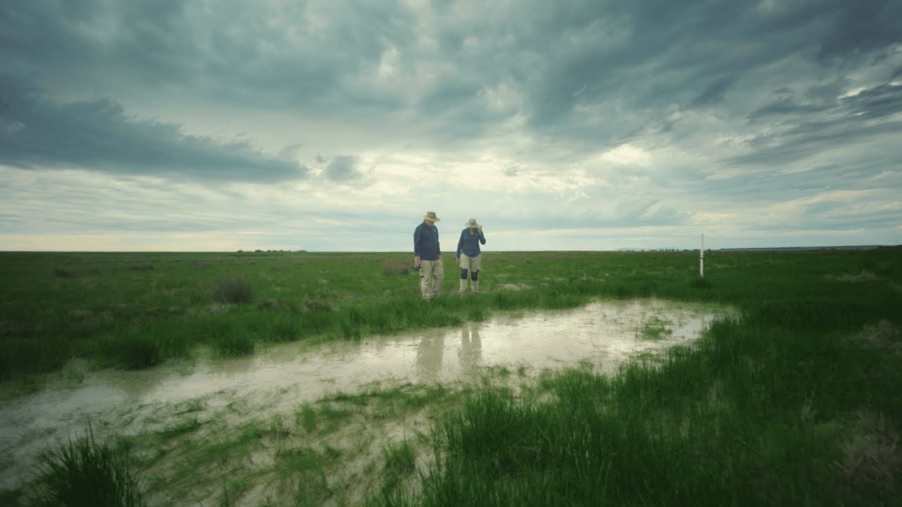 Wetlands and wind farms – Candice Parker and Damian Jones