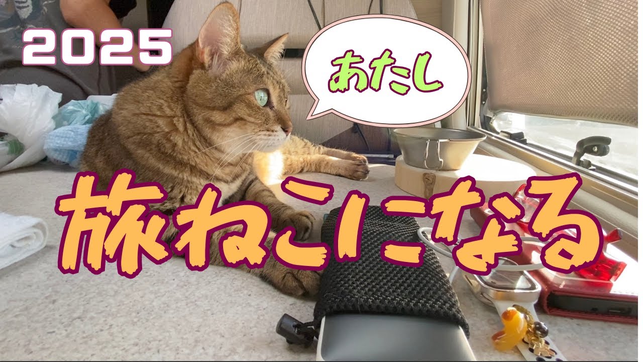 房総半島旅ねこプロジェクト