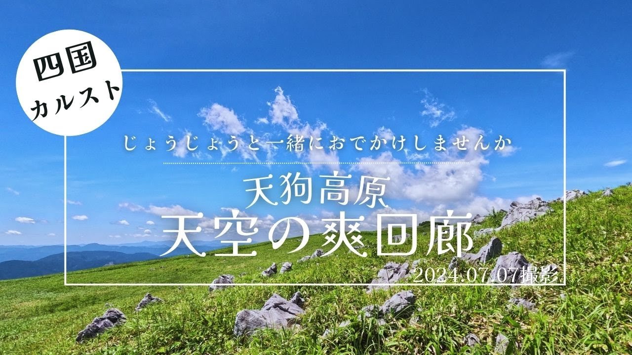 【四国カルスト#2】じょうじょうといっしょに天狗高原　天空の爽回廊へおでかけしませんか