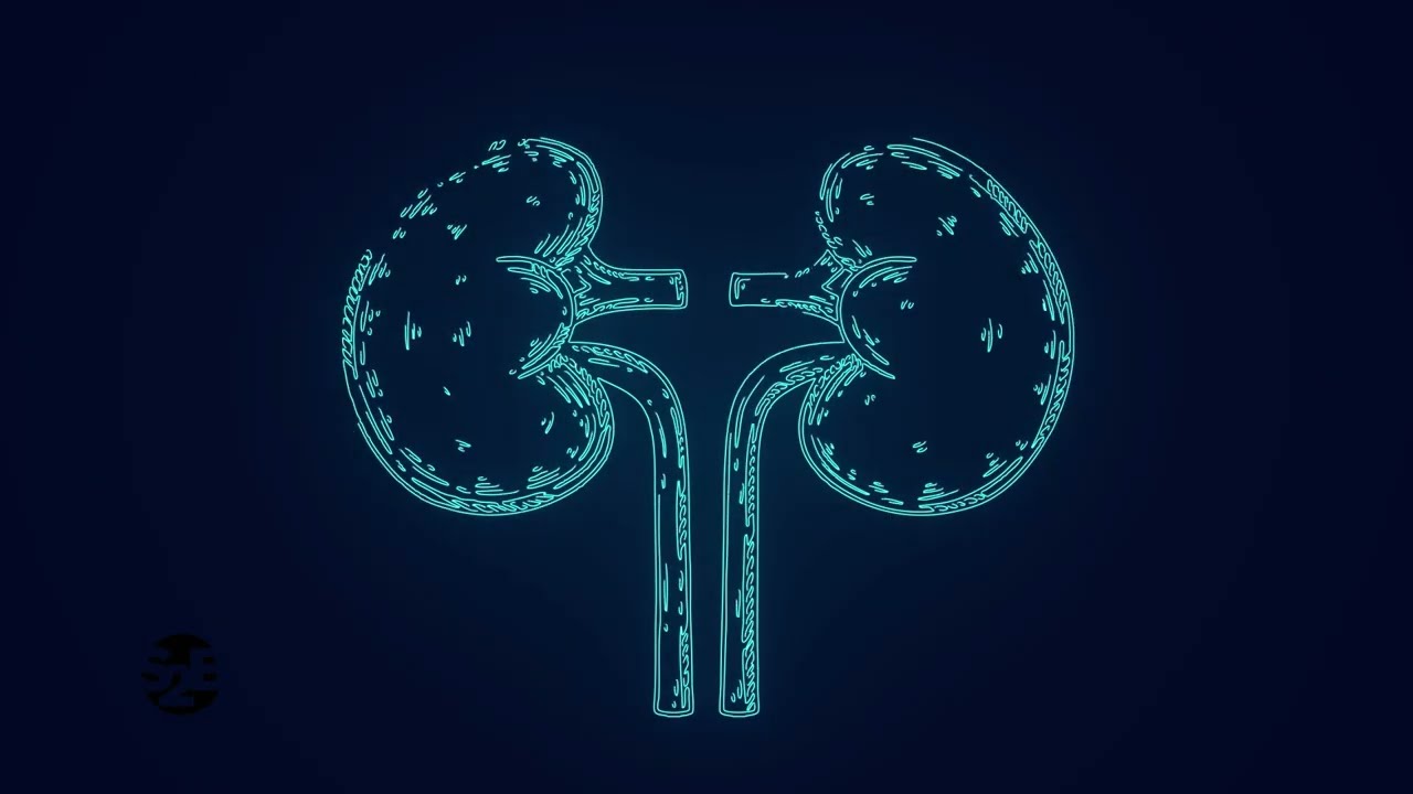 S2B / Science 2 Business - S01E22 -