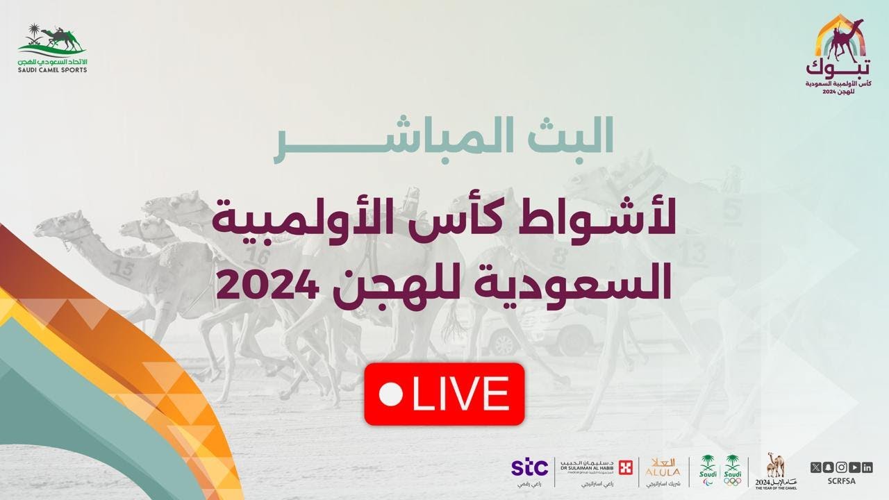 🖥️ البث المباشر لأشواط الفترة الصباحية من فئة الثنايا،ضمن منافسات #كأس_الأولمبية_السعودية_للهجن 2024