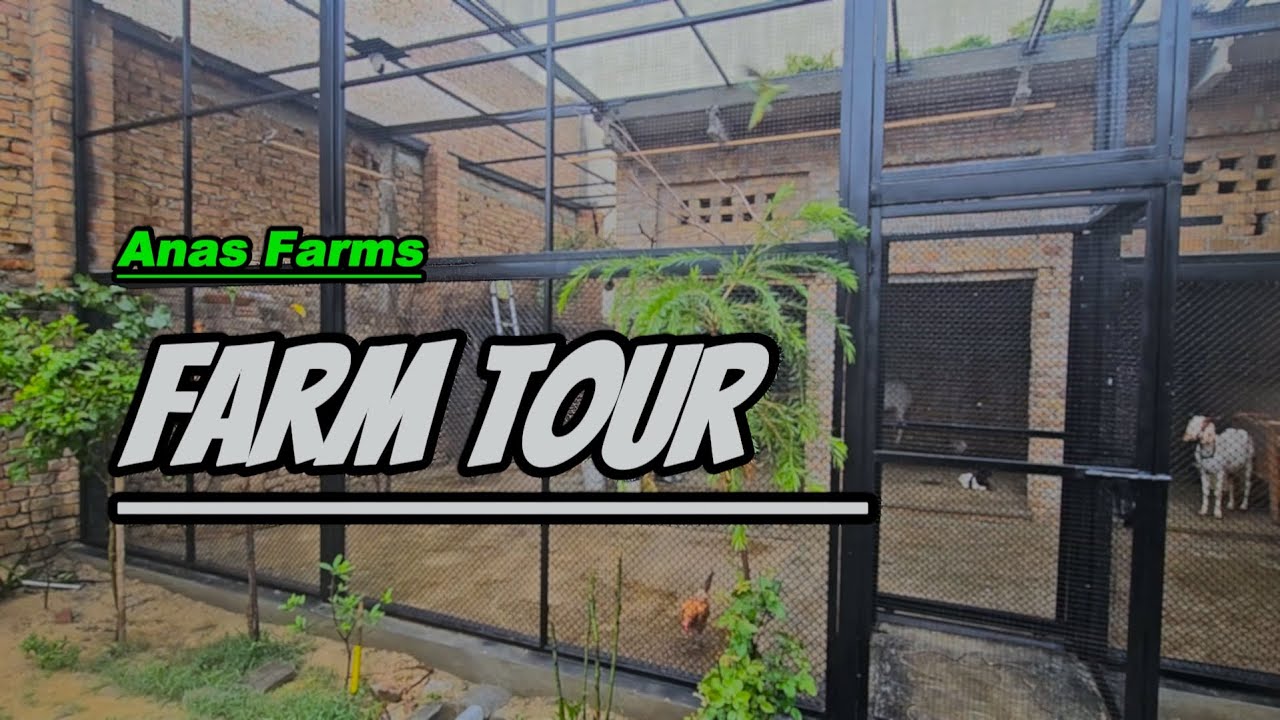Farm Tour 28x28ft | Setup Cost & Full Details | Anas Farms