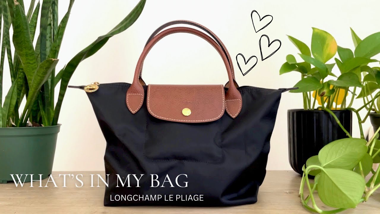 Что в моей сумке | Longchamp Le Pliage Small