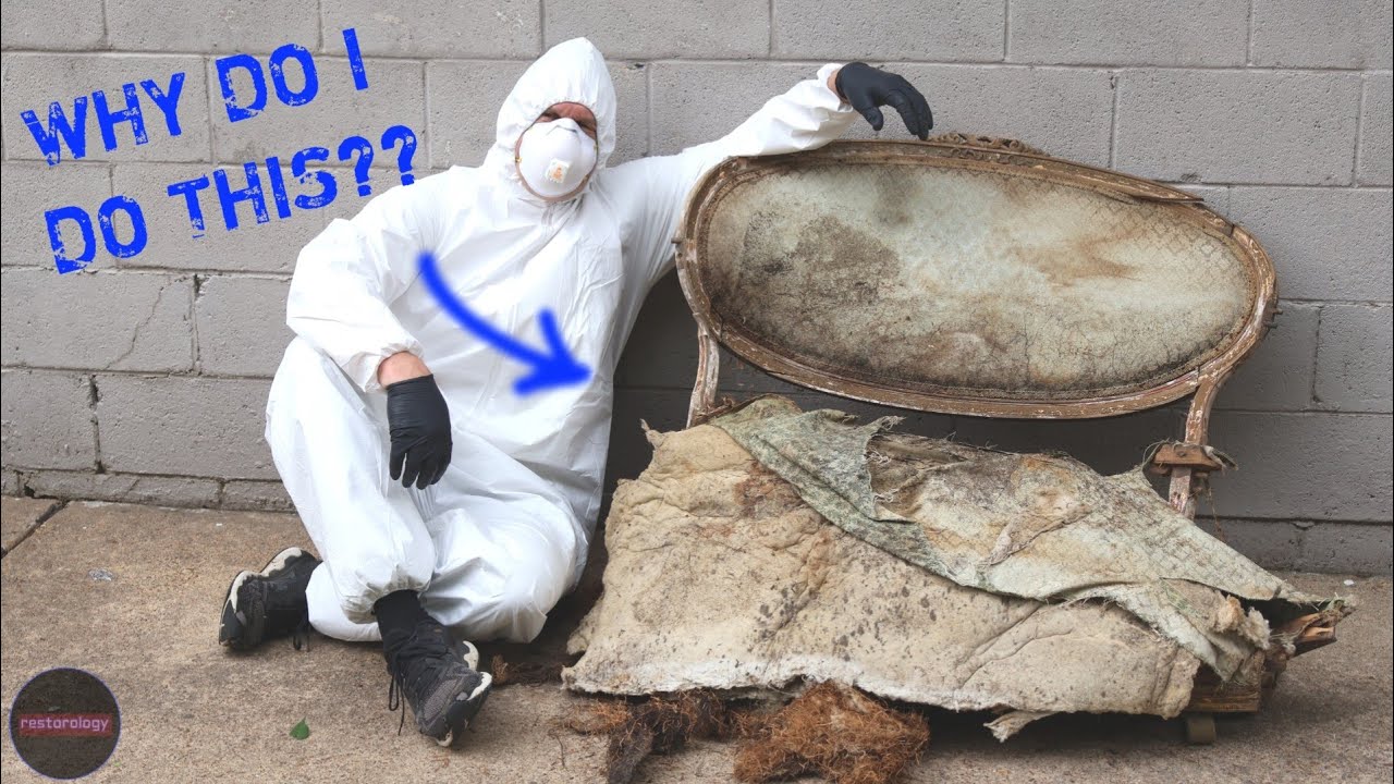 Mold, Insects, and Rot, Oh My! Epic Restoration: Part 1 - Deconstruction