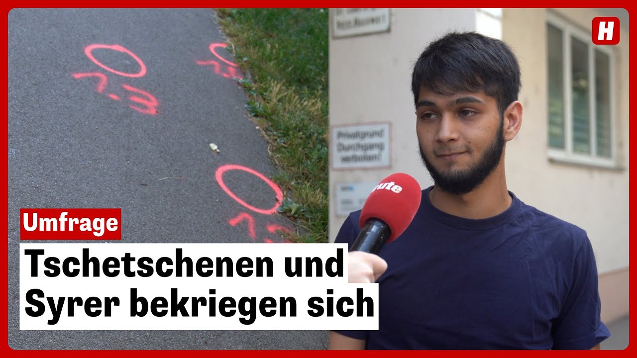 Bandenkrieg in Wien: 