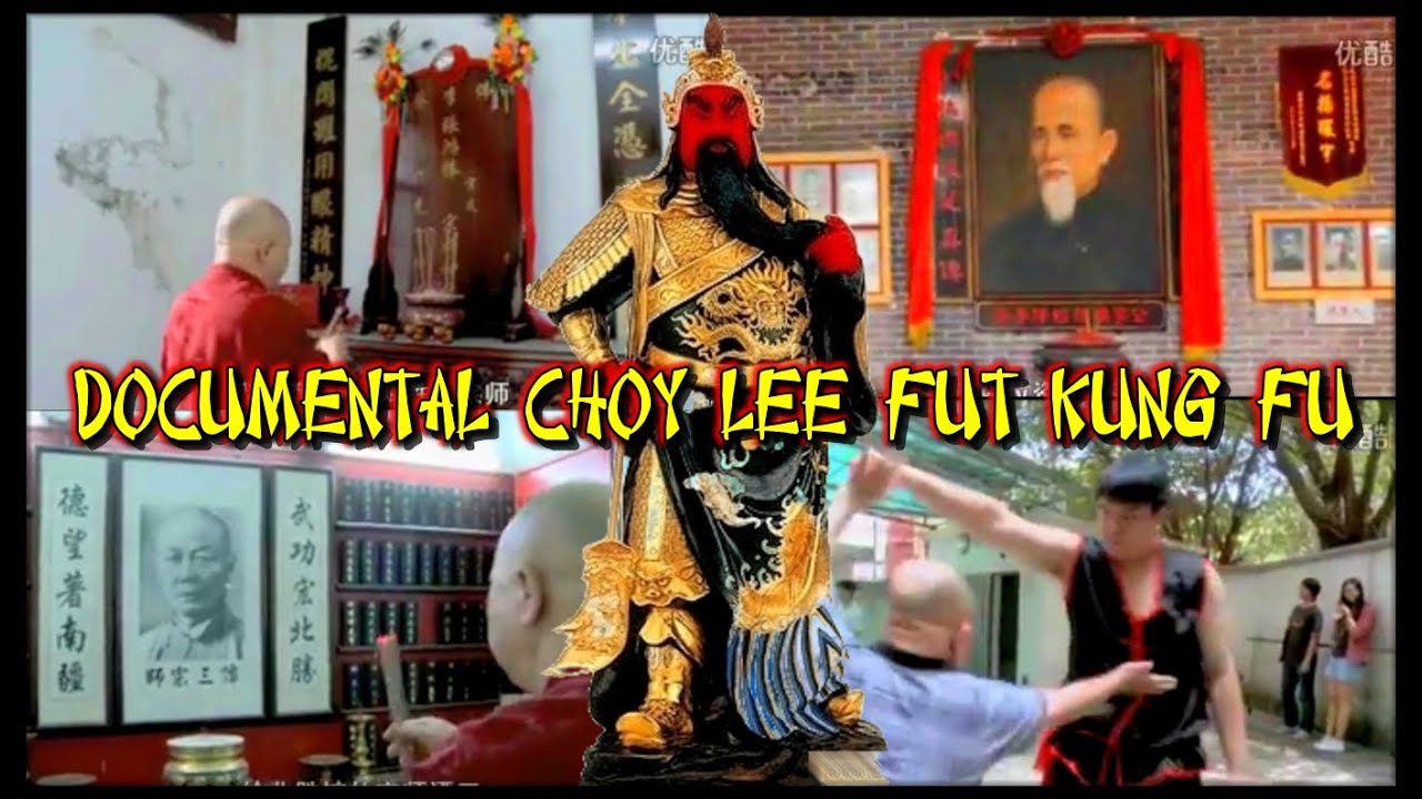 DOCUMENTAL choy lee fut kung fu
