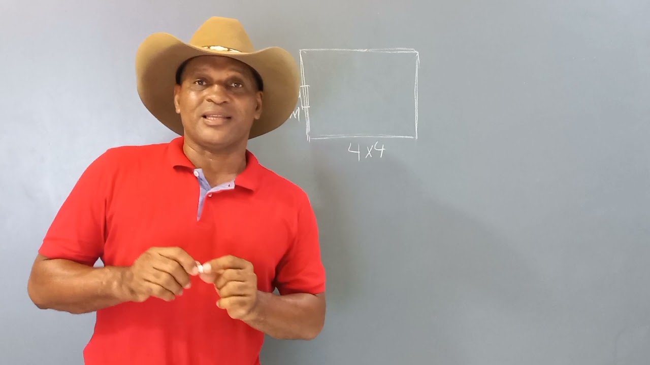 COMO FAZER UMA BAIA PARA SEU CAVALO